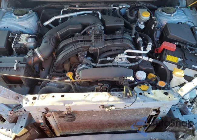 JF2GTHSCXMH251984: 73441165