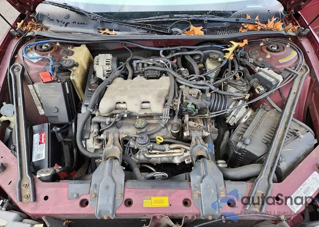 2G4WY55J8Y1329977: 99873505