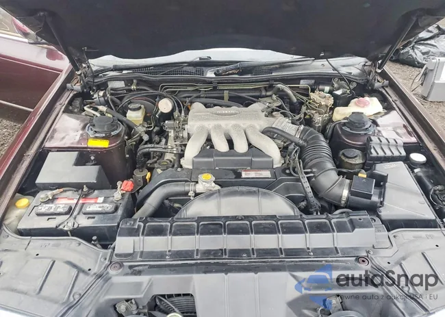 PHG50001145: 73295275