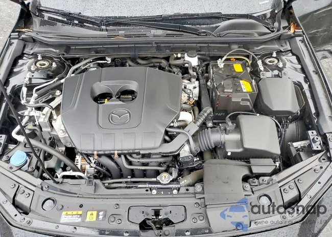 JM1BPAKM1S1757402: 73110205