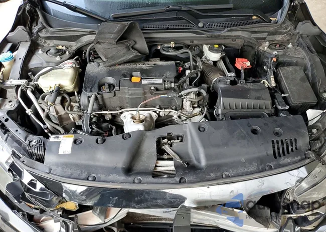 2HGFC4B87LH300213: 74244435