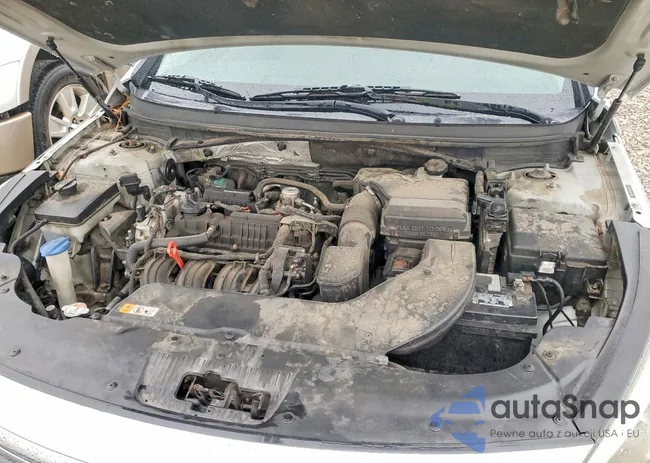 5NPE24AF4GH283493: 99319375