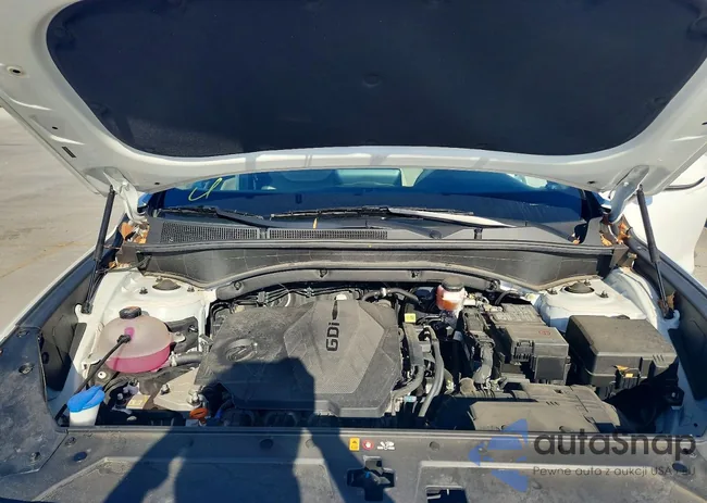 5NMS14AJXPH637377: 98011005