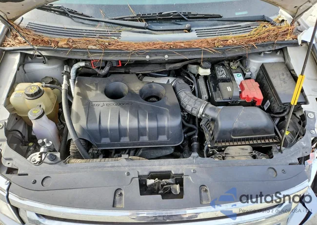 2FMDK3K95CBA76966: 98223225