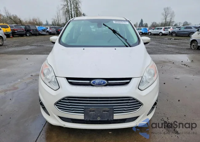 1FADP5BU8DL529894: 98984515