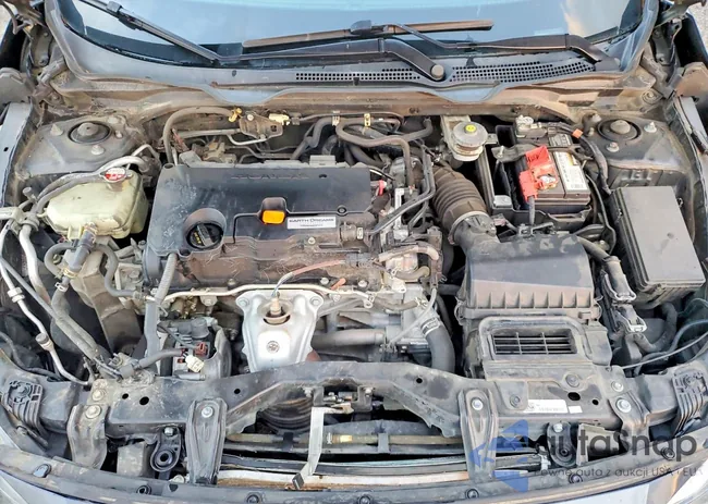 19XFC2F56GE032260: 99942995