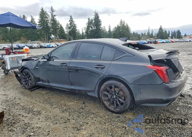 1G6DX5RK4P0151256: 75338895