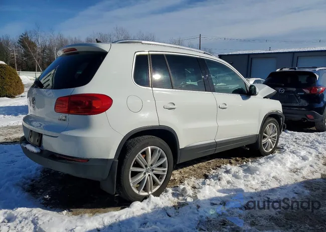 WVGBV7AX2GW561365: 74073775