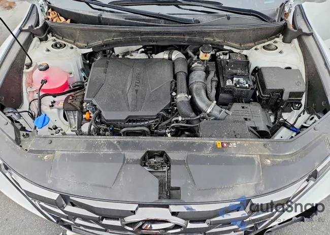 5NTJEDDF4RH122616: 98753435