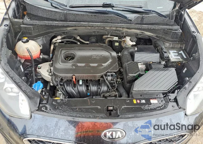 KNDPM3AC0N7954369: 99678425