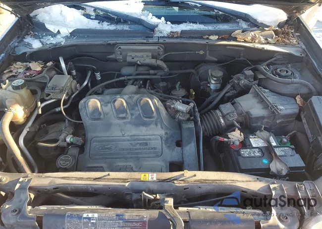 1FMYU03184KA97594: 75262095