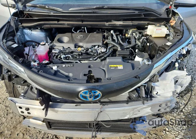 5TDYRKEC1SS282561: 74035635