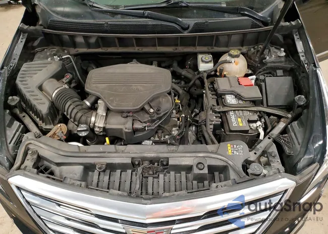 1GYKNDRS8KZ131790: 72820055