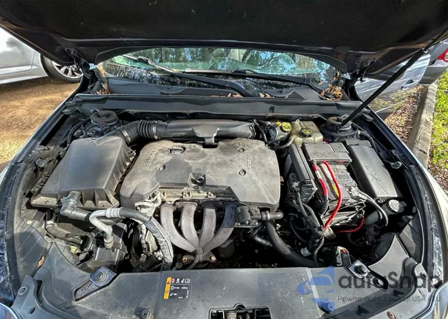 1G11B5SA0DF156004: 73019565