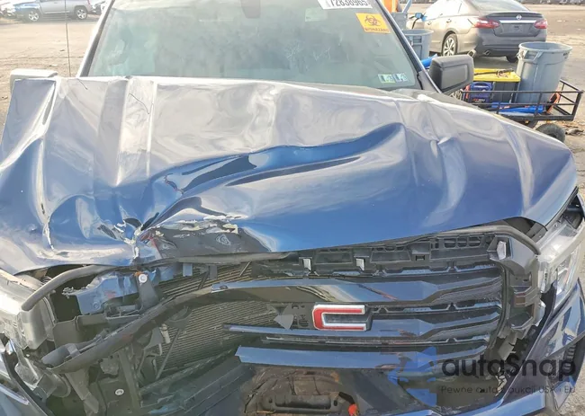 3GTU9CED4LG218317: 72838965