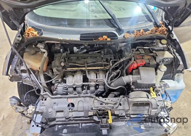 3FADP4EJ8HM113473: 72563225