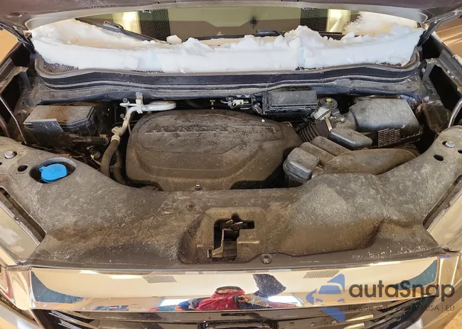 5FPYK3F71MB002440: 74457695