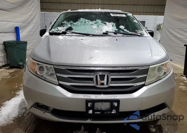 5FNRL5H44DB018222: 99601655