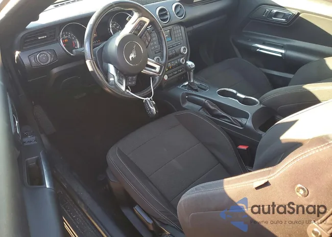 1FA6P8AM6H5246531: 98968405