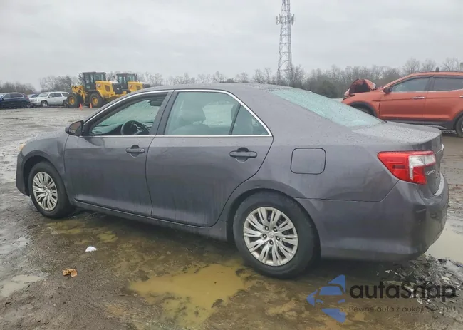 4T4BF1FKXDR323557: 98774075