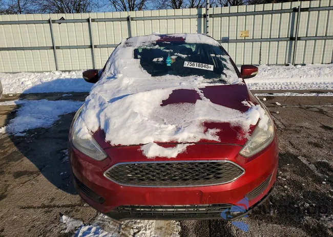 1FADP3F21GL213786: 75618045