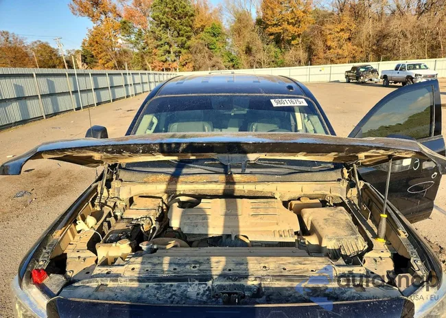 1N6AA1E51HN506959: 98011675