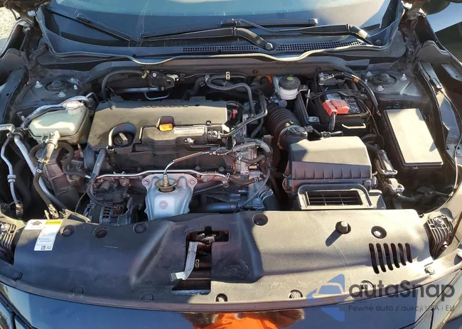 2HGFC2F68KH554024: 73646185