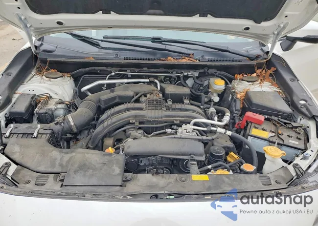 JF2GTAMC3L8212947: 72480485