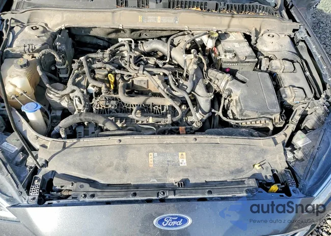 3FA6P0CD3LR193646: 73310085