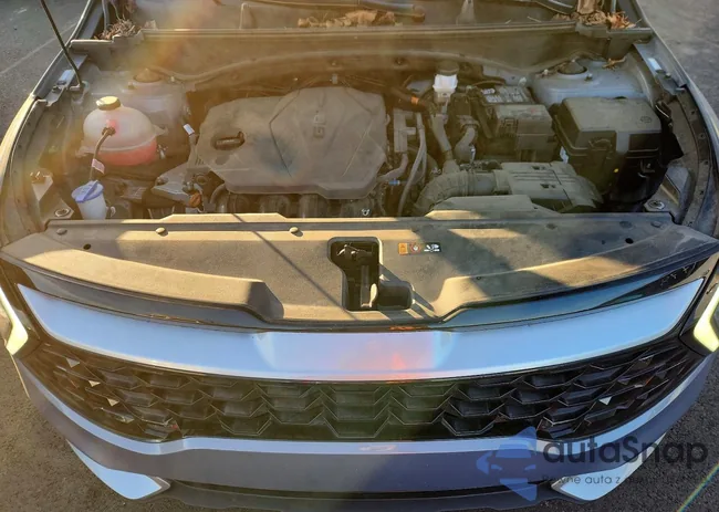 5XYK33AF6PG077738: 73659865