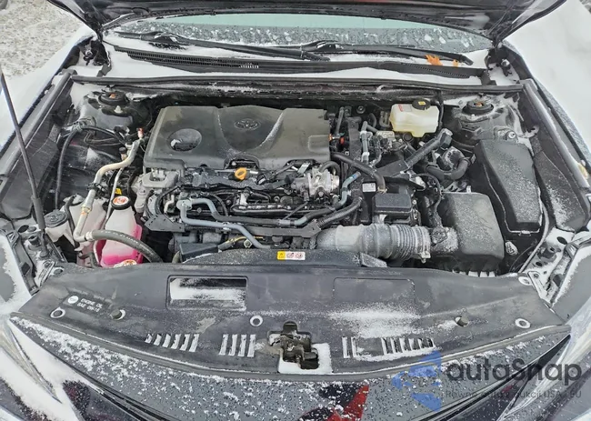 4T1F31AK5RU074345: 98348445