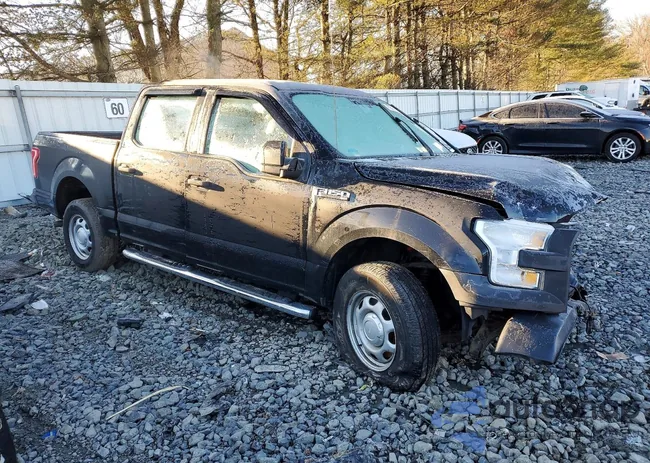 1FTEW1C87GFA06963: 99805325