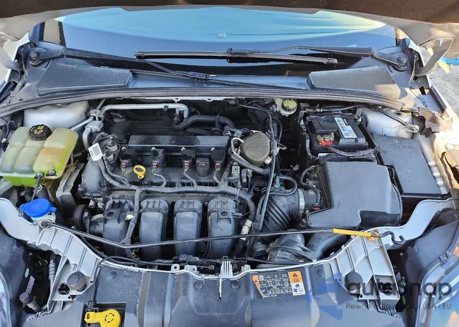 1FADP3F27EL443491: 73157845