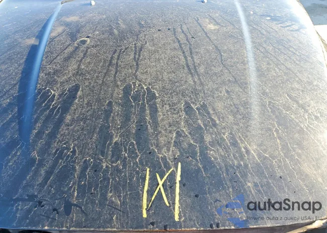 YV1902AH6B1148488: 72805505