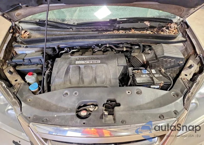 5FNRL38427B038865: 97404945