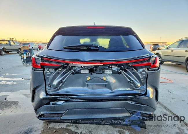 2T2ADCAZ2RC009806: 73024425