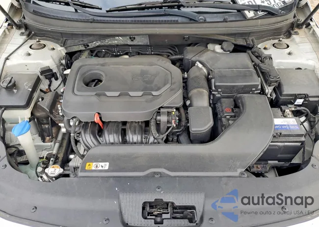 5NPE24AF8GH263473: 74351615