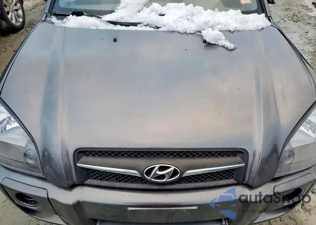 KM8JM12B09U972955: 73367995