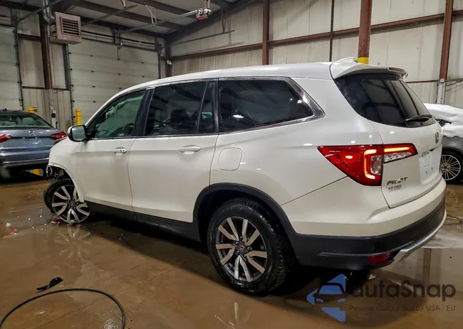 KNDP6CAC6L7767323: 73595665