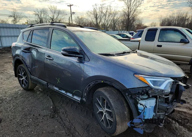 JTMJFREV0JJ205955: 72542555