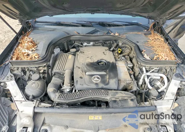 WDC0G4JB5HF186480: 74675145