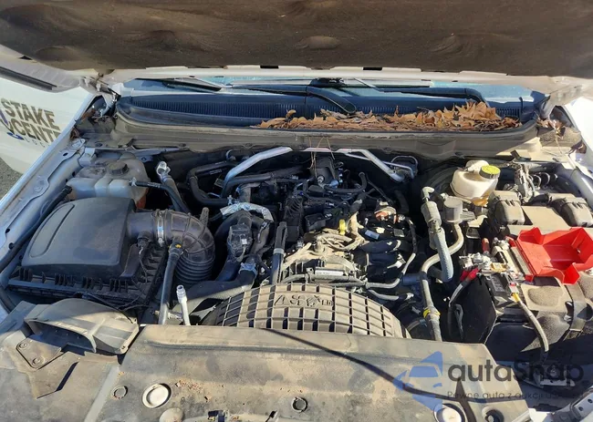 1FTER1FHXNLD47176: 99898615