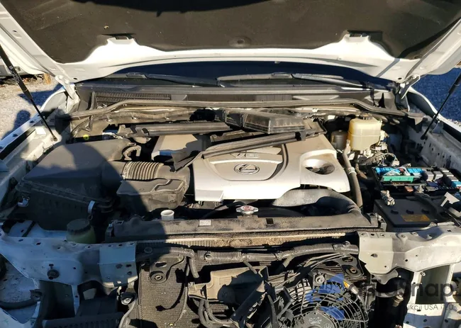 JTJDY7AX0L4317530: 73304055