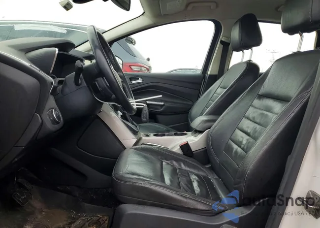 1FADP5BU4DL507116: 97784935