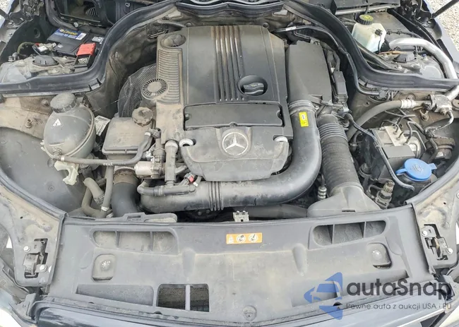 WDDGJ4HB5FG364574: 73292025