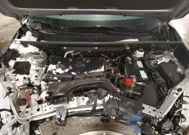 2T3P1RFV5MW231237: 98643785