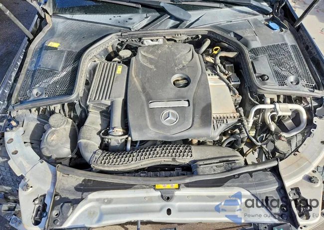 55SWF4JB6GU164203: 96269775