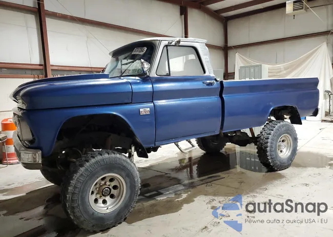 C3646T133335: 87247084