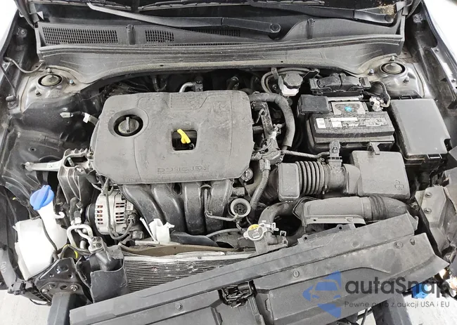 3KPF54AD1PE597956: 89349395