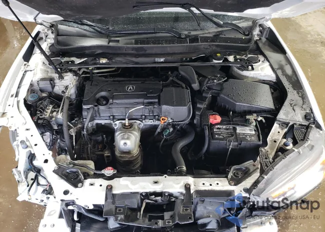 19UUB1F62KA002053: 46813715